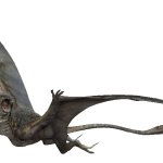 Dimorphodon 4 (JW Design)