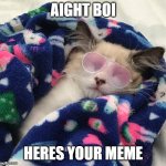 Gangsta kitten | AIGHT BOI; HERES YOUR MEME | image tagged in gangsta kitten | made w/ Imgflip meme maker
