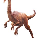 Gallimimus 8