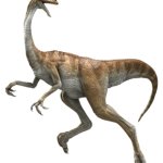 Gallimimus 9