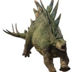 Stegosaurus 6