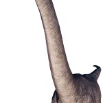 Brachiosaurus 5