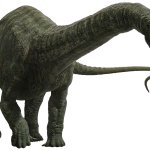 Apatosaurus 6