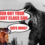 Mismatch Fight | YOUR OUT YOUR WEIGHT CLASS SON; SAYS WHO? | image tagged in godzila,shrimp,fight,death battle,vs,overconfident | made w/ Imgflip meme maker