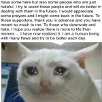 hope you do good who_am_i :sad: | image tagged in crying cat,memes,who_am_i | made w/ Imgflip meme maker