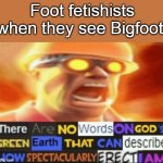there are no words on god's green earth to describe it | Foot fetishists when they see Bigfoot: | image tagged in there are no words on god's green earth,memes,foot fetish,bigfoot,fetish | made w/ Imgflip meme maker