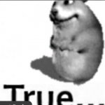 True chomik