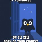 You better do your lesson | it's Japanese; or I'll sell both of your kidneys | image tagged in duolingo bird,scary,japanese | made w/ Imgflip meme maker