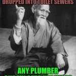 -Fallen dollar. | -WHEN CRAP BEING DROPPED INTO TOILET SEWERS; ANY PLUMBER SURELY GETS HIS WAGE | image tagged in aikido master,plumber,crappy memes,money man,sewer,toilet humor | made w/ Imgflip meme maker