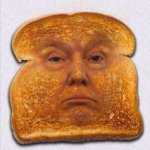 Trump with over 200 instances of financial fraud is toast template