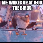 The birds: | ME: WAKES UP AT 6:00 
THE BIRDS: | image tagged in gifs,birds | made w/ Imgflip video-to-gif maker