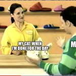 Slippers meme | MY CAT WHEN I’M DONE FOR THE DAY; ME | image tagged in slippers meme | made w/ Imgflip meme maker