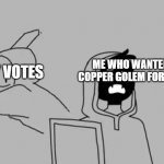 1.19 vote | ALLAY VOTES; ME WHO WANTED COPPER GOLEM FOR 1.19 | image tagged in dream smp | made w/ Imgflip meme maker
