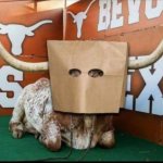 Bevo