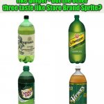 Ginger Ale Debate | Why is it Vernors tastes like ginger - but the other three taste like Store Brand Sprite? | image tagged in ginger ale debate | made w/ Imgflip meme maker