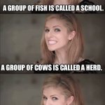 Groups | A GROUP OF FISH IS CALLED A SCHOOL. A GROUP OF COWS IS CALLED A HERD. AND A GROUP OF CHILDREN IS CALLED A MIGRAINE. | image tagged in memes,bad pun anna kendrick | made w/ Imgflip meme maker