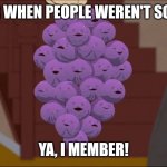 Member Berries Meme | MEMBER WHEN PEOPLE WEREN'T SO DUMB? YA, I MEMBER! | image tagged in memes,member berries | made w/ Imgflip meme maker