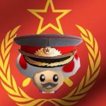 Soviet toad meme