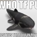 YO WHO TF PUT A DUNKELOSTEUS TERRELLI IN MY WII MENU