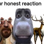 Our honest reaction meme
