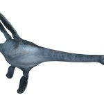 Elasmosaurus