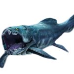 Dunkleosteus (Open Mouth)