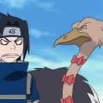 Sasuke gettin’ pecked right now meme