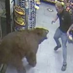 Facing a Bear in party store