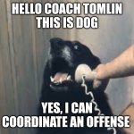 Hello yes this is dog | HELLO COACH TOMLIN
THIS IS DOG; YES, I CAN COORDINATE AN OFFENSE | image tagged in hello yes this is dog | made w/ Imgflip meme maker