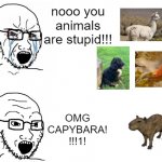 capys are overrated, change my mind | nooo you animals are stupid!!! OMG 
CAPYBARA!
!!!1! | image tagged in crying hypocrite wojak,capybara,animals,dogs,fish,alpaca | made w/ Imgflip meme maker