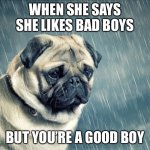 Darn it. | WHEN SHE SAYS SHE LIKES BAD BOYS; BUT YOU’RE A GOOD BOY | image tagged in raining on sad dog | made w/ Imgflip meme maker