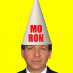Moron Ron DeSantis making Florida as stupid as he is meme