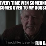 hehehehe | EVERY TIME WEN SOMEONE COMES OVER TO MY HOUSE; FUR BABIES | image tagged in better werner herzog mandalorian | made w/ Imgflip meme maker