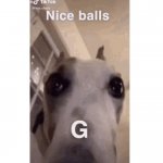 Perra posts "nice balls G"