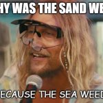 Daily Bad Dad Joke September 27 2022 | WHY WAS THE SAND WET? BECAUSE THE SEA WEED. | image tagged in beach bum | made w/ Imgflip meme maker