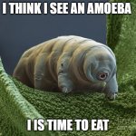 water bear is hard as fuq | I THINK I SEE AN AMOEBA; I IS TIME TO EAT | image tagged in water bear is hard as fuq | made w/ Imgflip meme maker