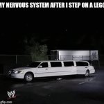 anyone? | MY NERVOUS SYSTEM AFTER I STEP ON A LEGO: | image tagged in gifs,funny,funny memes | made w/ Imgflip video-to-gif maker