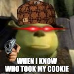 what shrek | me; WHEN I KNOW WHO TOOK MY COOKIE | image tagged in what shrek | made w/ Imgflip meme maker