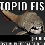 stopid fish is blank (he doesn't post much because of it)