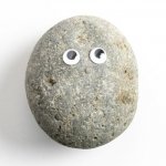 Pet Rock template