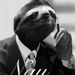 Gentleman sloth nay