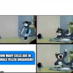 Tom Reads a Book | HOW MANY CELLS ARE IN A SINGLE FELLED ORGANISM? | image tagged in tom reads a book | made w/ Imgflip meme maker