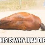Yep hes down on the ground | THIS IS WHY JUAN DIED | image tagged in horse down | made w/ Imgflip meme maker
