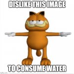 Dislike | DISLIKE THIS IMAGE; TO CONSUME WATER | image tagged in garfield t-pose | made w/ Imgflip meme maker