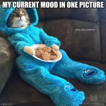 pj day today! | MY CURRENT MOOD IN ONE PICTURE | image tagged in cat in pjs | made w/ Imgflip meme maker
