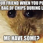 Hampter (My friend next to me gave me most of the meme idea lol) | YOUR FRIEND WHEN YOU PULL OUT A BAG OF CHIPS DURING LUNCH; ME HAVE SOME? | image tagged in hampter,friends,lunch,chips | made w/ Imgflip meme maker