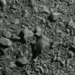 Asteroid close