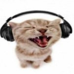 cat wearing headphones template