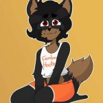 Femboy furry meme