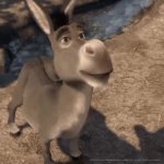 nope donkey GIF Template